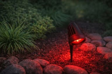 Garden lights