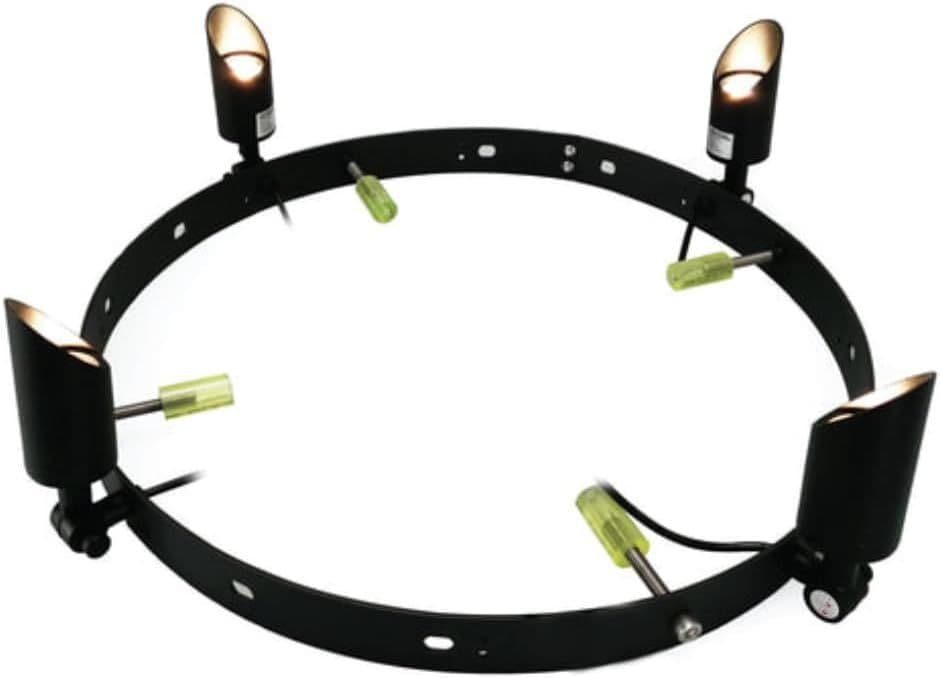 Decorative LED palm tree ring light on plain background